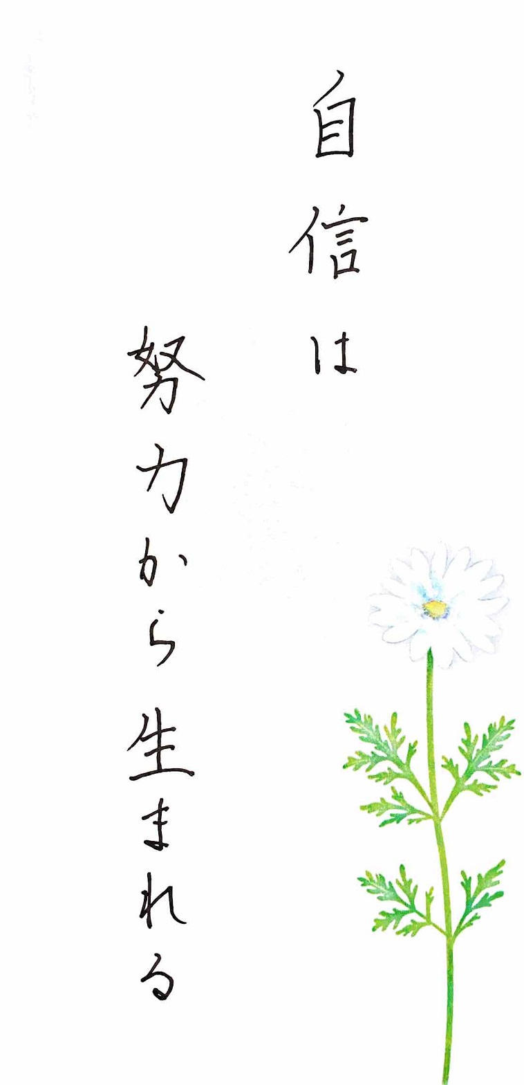 Z󌱐̊F