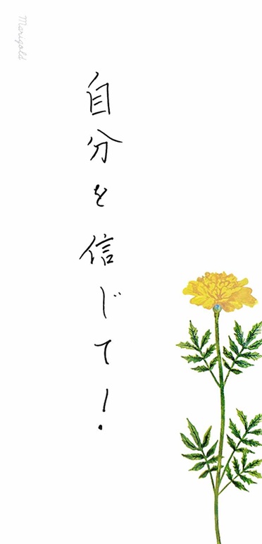 �󌱐�����΂�!