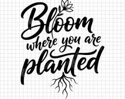 킽̍E̖Cyuꂽꏊō炫Ȃz